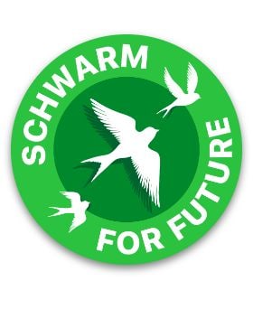 Schwarm for Future